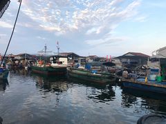 -蓝湾碧波·老字号·疍家非遗海上餐厅