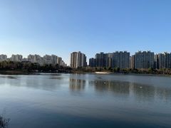 -南翔镇银翔湖公园