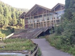 -武陵山森林公园
