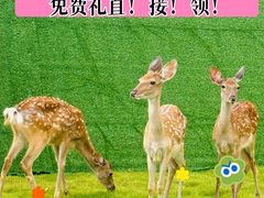 -长沙悦方ID MALL