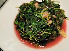 -柳园春天特色餐厅(南浔古镇店)