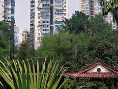 -晓港公园
