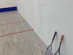 -健身专家Wellness Experts