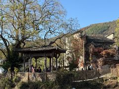 -塔川景区