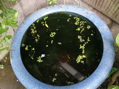 -海窝子古镇