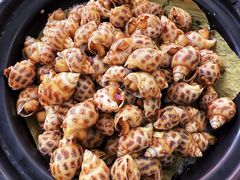 -花好悦园酒家(大石店)