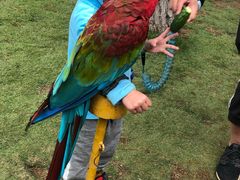 -西霞口神雕山野生动物世界