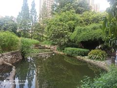 -成都市活水公园