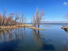 -洱海月湿地公园