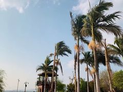 -西昌邛海湿地