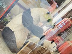-乐山串串香老火锅(鼓楼店)