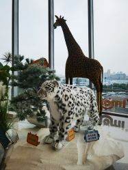 -IMON·HANSA潮玩玩偶毛绒玩具(通州万象汇店)