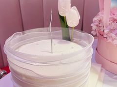-维尔纳斯·生日蛋糕动物奶油冰淇淋蛋糕(人大店)
