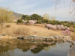 -鬼笑石后山停车场
