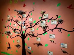 -酷嗒动物文化乐园(cutezoo西溪乐天城店)