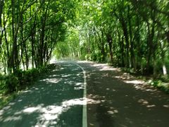 -艾溪湖湿地公园