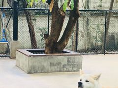 -TrueLove @ Neverland (Husky Cafe)
