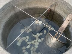 -凤翔首邑温泉度假村