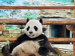 -西霞口神雕山野生动物世界