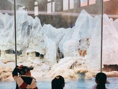 -帝企鹅自助餐厅•儿童岛•真企鹅(长隆企鹅酒店)