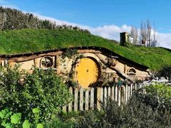 -怀托摩萤火虫洞