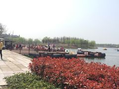 -杭州湾海上花田景区