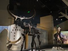 -国家自然博物馆