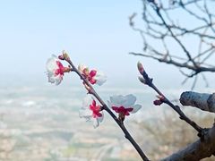 -北京凤凰岭
