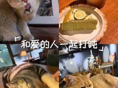 -咖法森林·咖啡  酒吧(天河店)