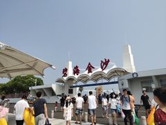 -碧海金沙