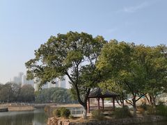 -月湖风景区