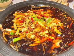 -费明中罗非鱼(大石坝店)