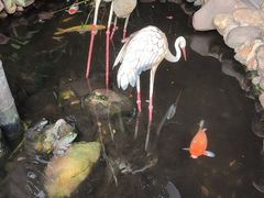 -合晋食府(广州合晋帝苑酒店)