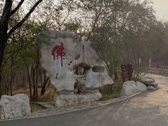 -千佛山风景名胜区