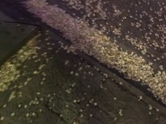 -兰溪青年公园