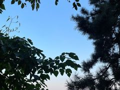 -香山公园