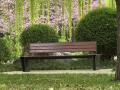 -唐城墙遗址公园