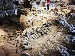 -自贡恐龙博物馆