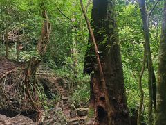 -七仙岭温泉国家森林公园