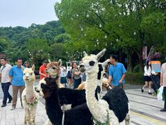 -宁波野生动物园