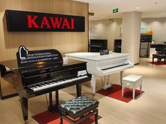 -柏斯音乐艺术中心·钢琴·吉他(上音店)
