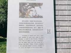 -神仙树公园