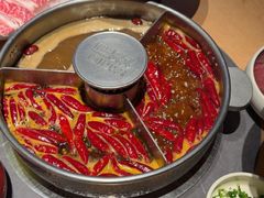 -巴奴毛肚火锅(七宝领展广场店)
