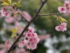 -静安雕塑公园