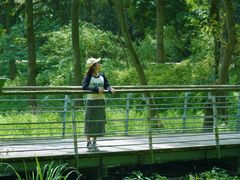 -西湖风景区-江洋畈生态公园