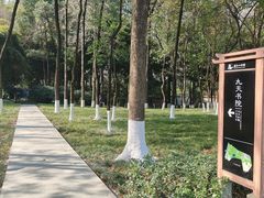 -塔子山公园