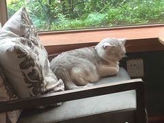 -咖法森林·咖啡  酒吧(天河店)