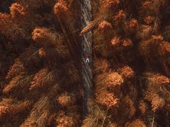 -桤木河湿地公园