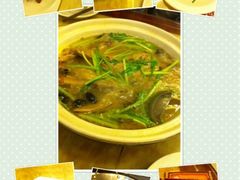 iphone_upload_pic-陈江波老鸭煲(化工路店1号店)