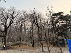 -阳台山自然风景区